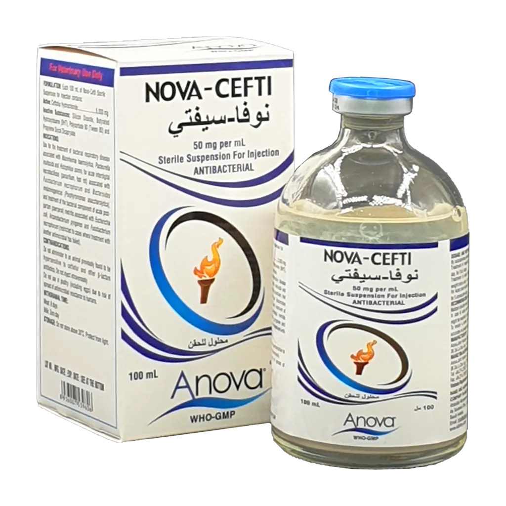 Nova-Cefti.webp