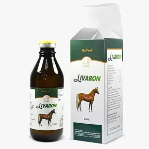 ليفرون الاخضر | منشط كبد قوي لتعزيز صحة وحيوية الخيل.