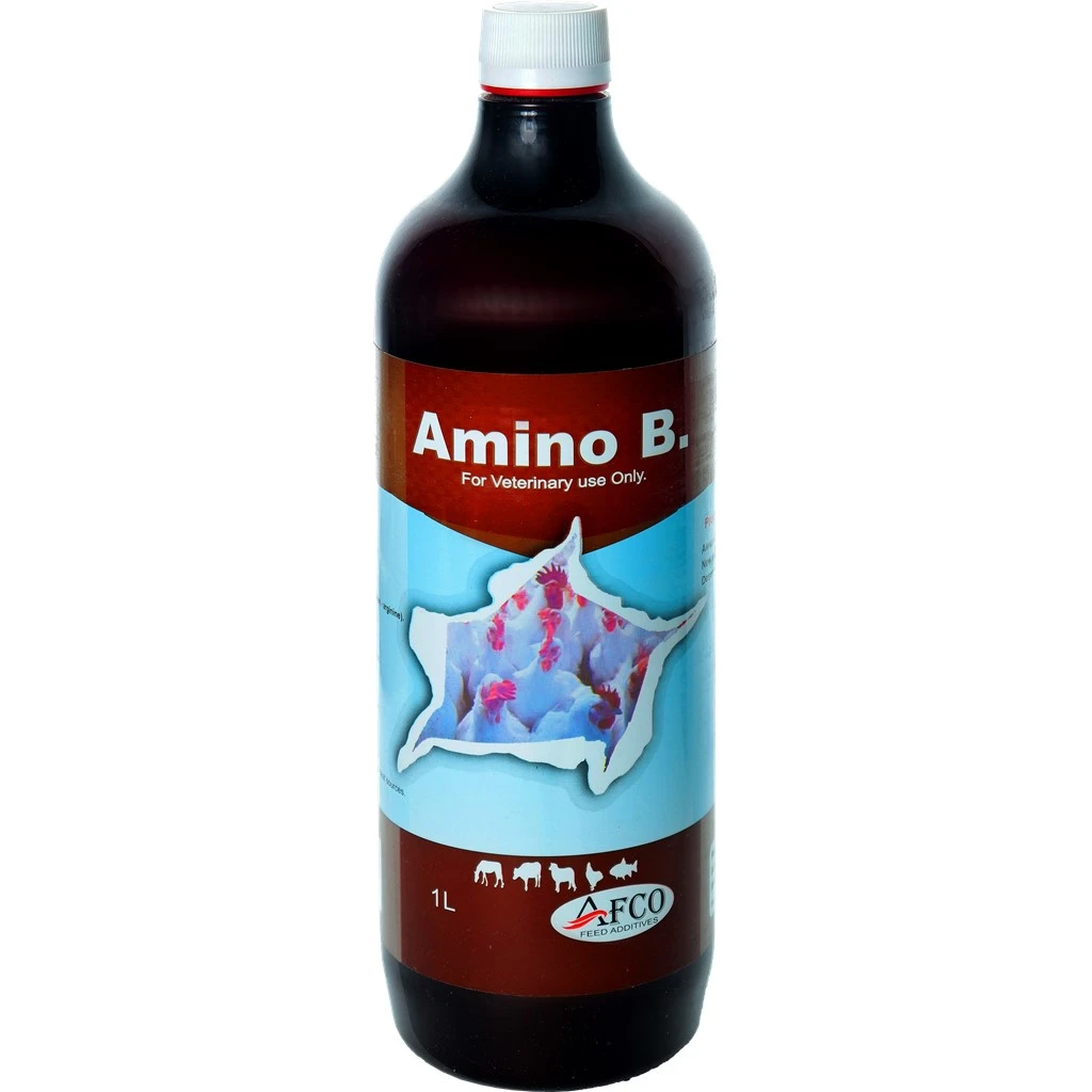 أمينو ب أمينو ب