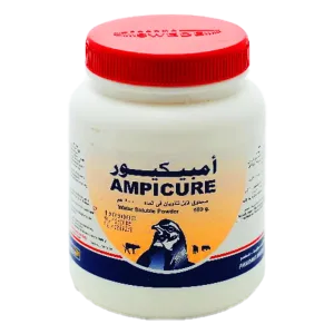 أمبيكيور | بنسيلين | مضاد حيوي بيطري واسع المجال | في الدواجن والعجول والحملان