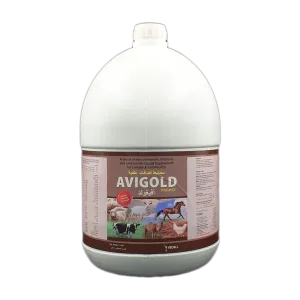 افيغولد | مخاليط اضافات علفيه | للماشيه والدواجن