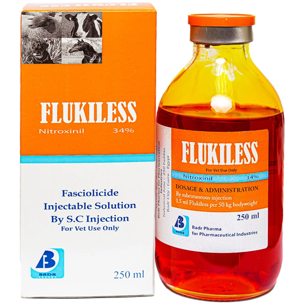 فلوكيلس فلوكيلس