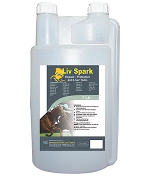 ليف سبارك ليف سبارك