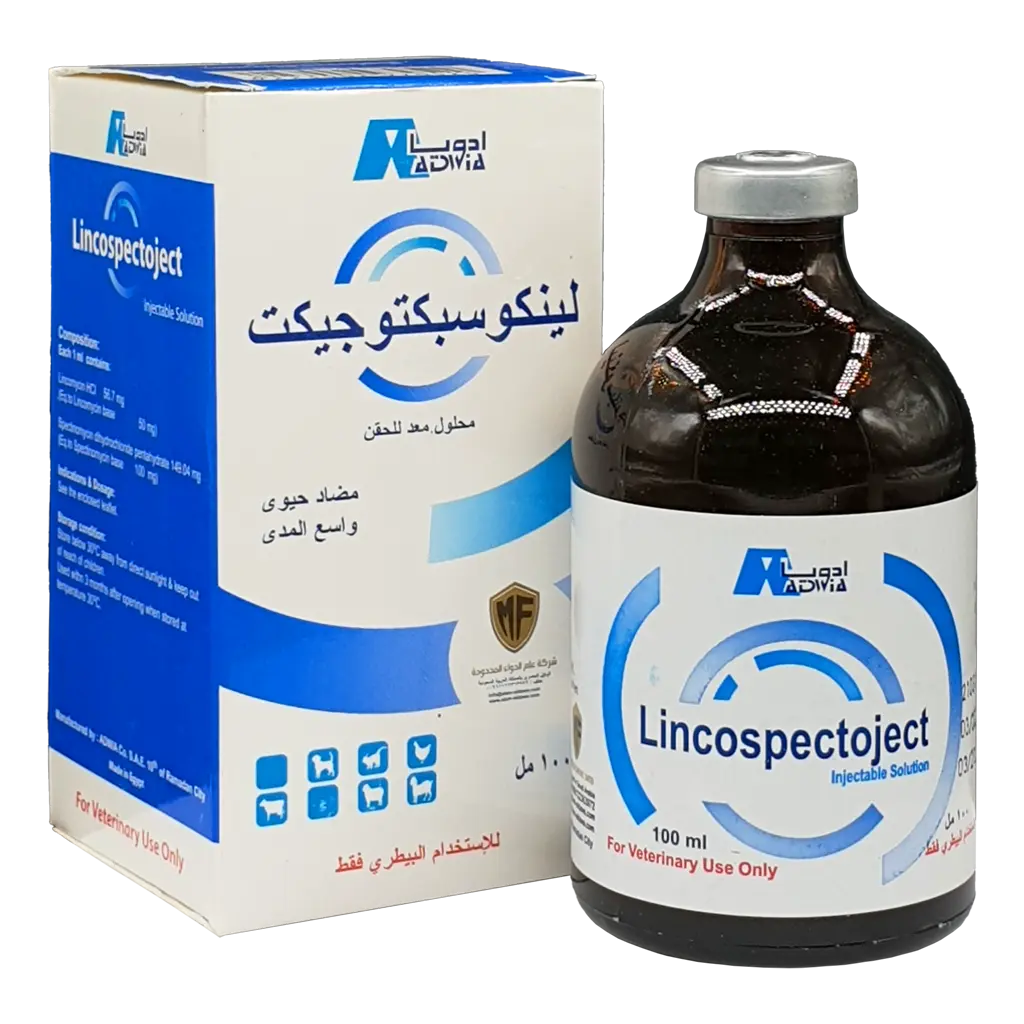 لينكوسبكتوجيكت لينكوسبكتوجيكت