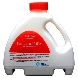 باناكور 10% | طارد للديدان واسع المجال | في الأبقار والخيول