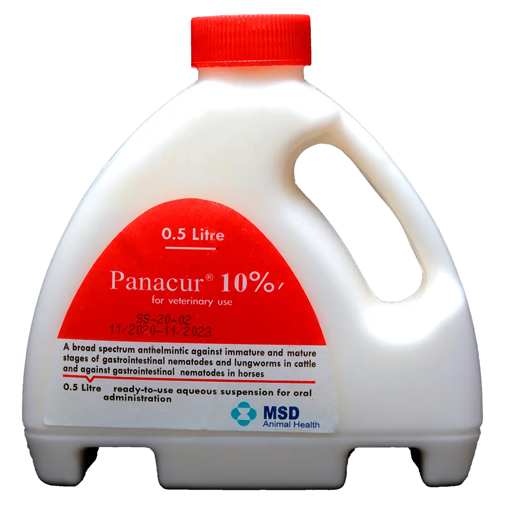 باناكور باناكور 10% | طارد للديدان واسع المجال | في الأبقار والخيول