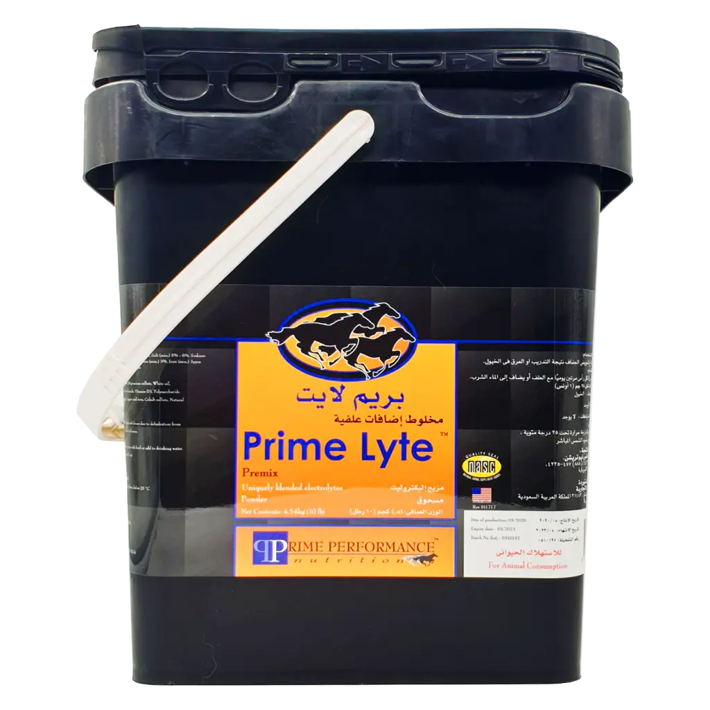 بريم لايت بريم لايت