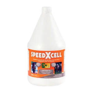 سبيد اكس سيل | معادن وفيتامينات للخيول | مكمل غذائي متوازن