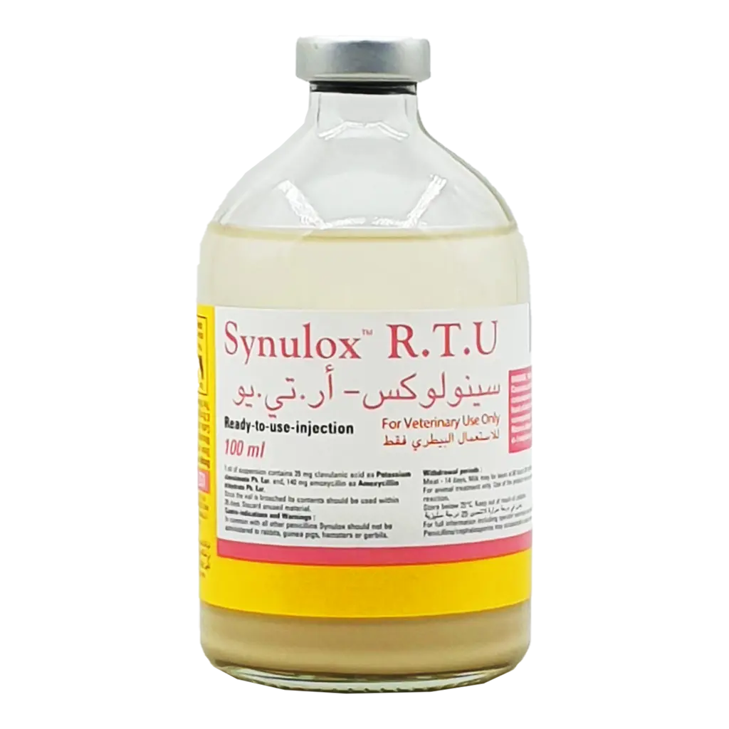 سينولوكس سينولوكس